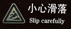Sign-translation
